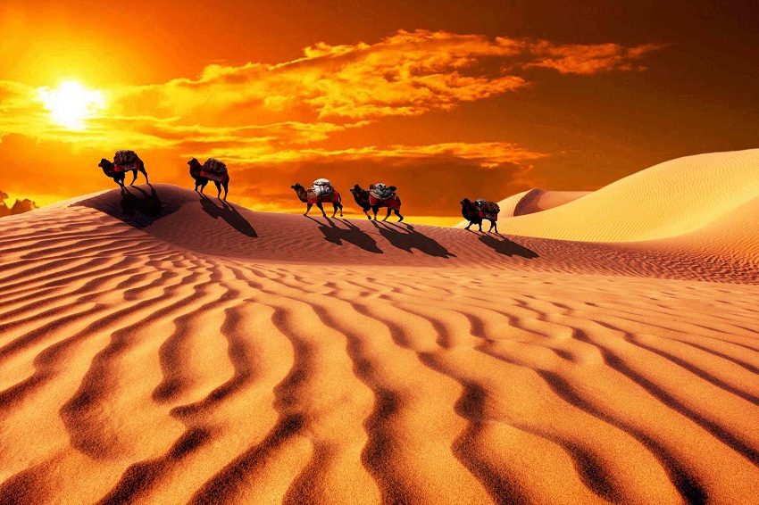 沙漠.jpg